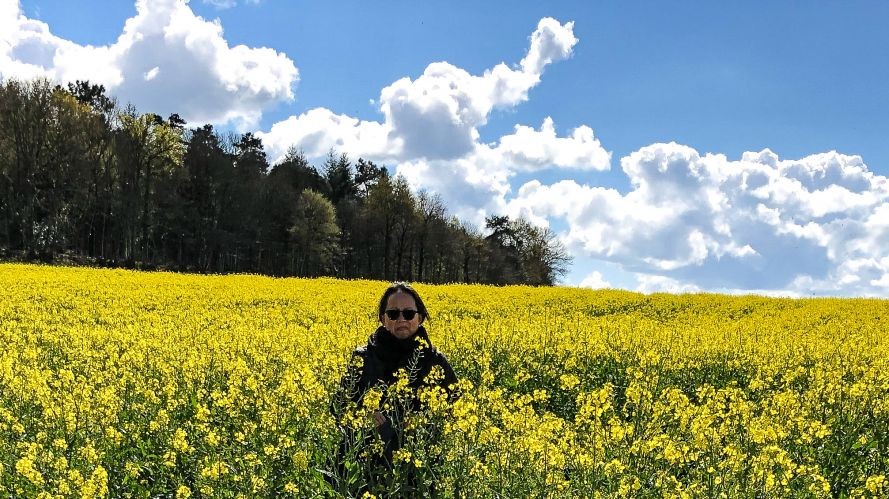 Breton Forest and Canola Flower Field