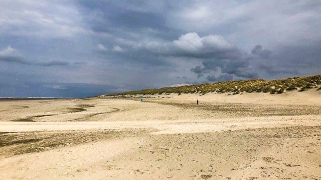 North Sea Sand Dunes
