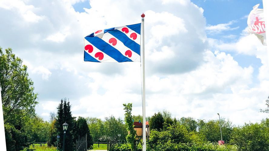 Water Lily Flag of Friesland