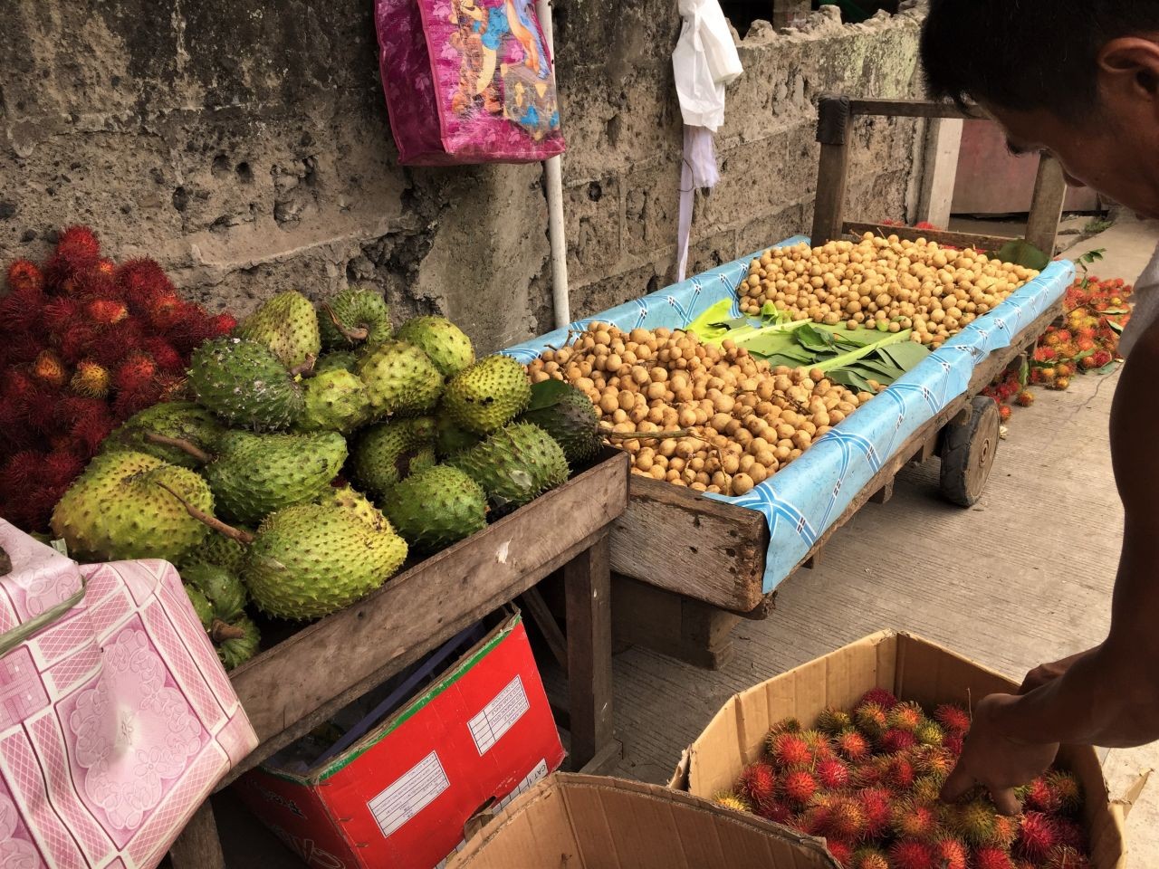 Fruit Vendor in the Philippines