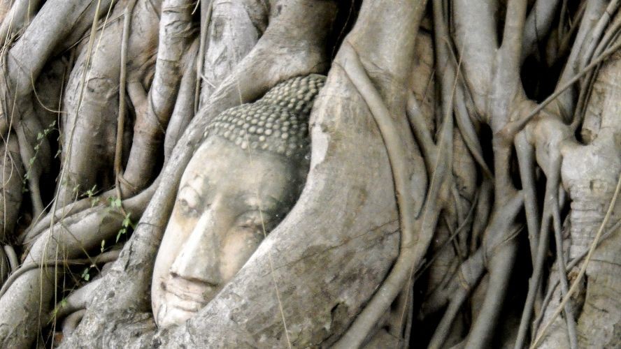 Head of Mahathat Buddha