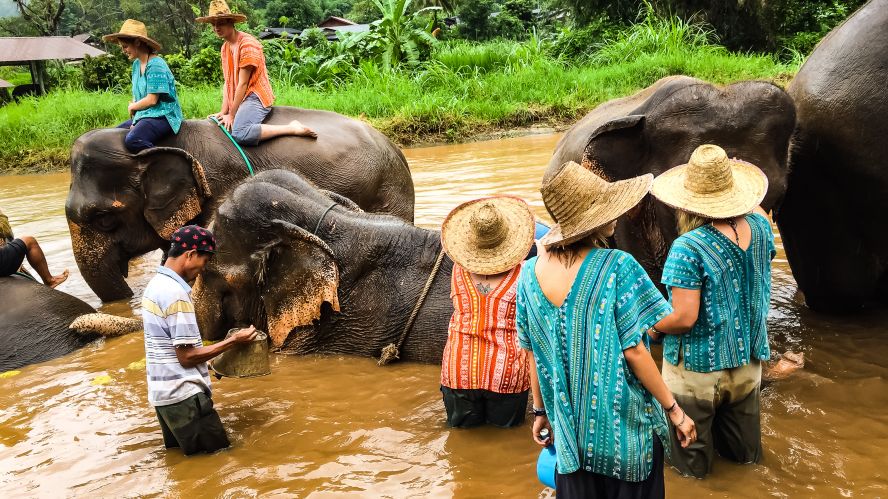 Elephant Rescue in Chiang Mai